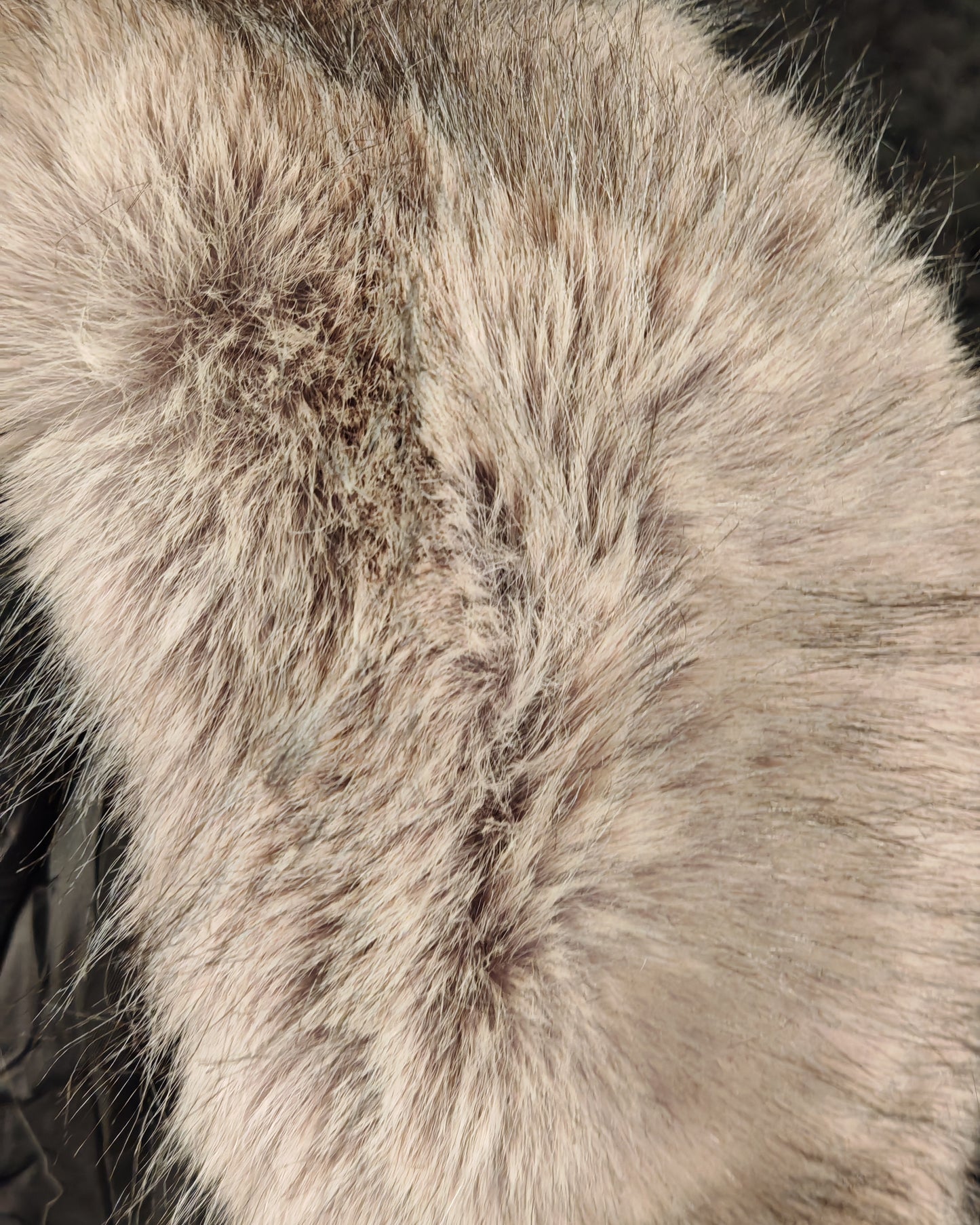 BLACK SNOW JACKE SLIM